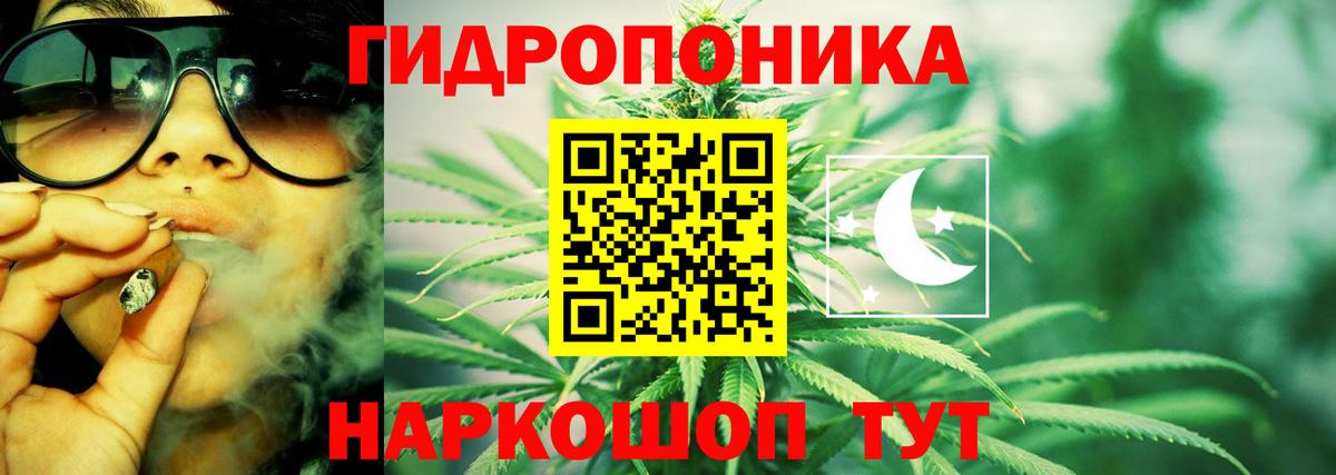Бошки марихуана план Красноярск